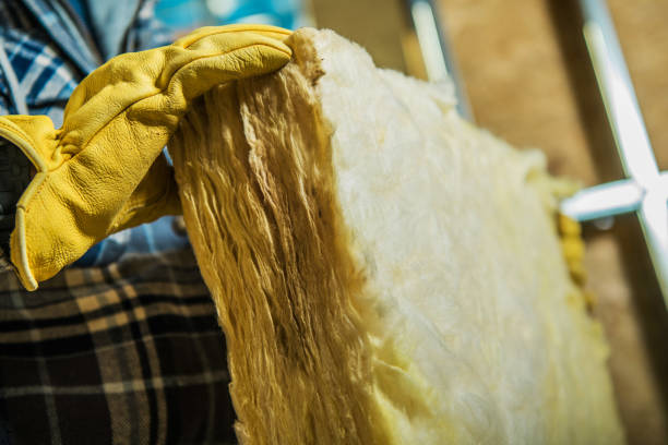 Best Types of Insulation in Live Oak, TX