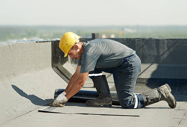 Best Insulation Installation Services in Live Oak, TX