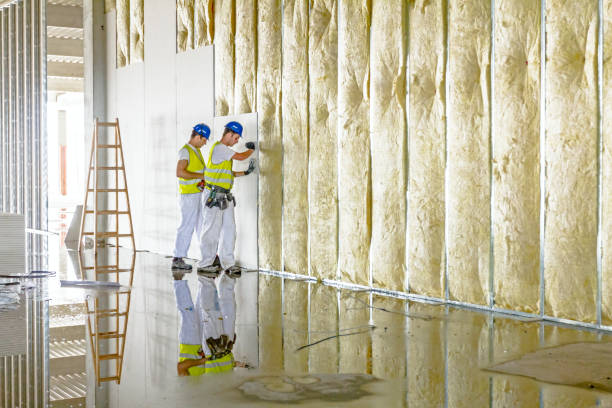 Best Residential Insulation in Live Oak, TX